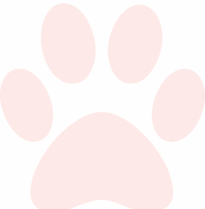 Paw